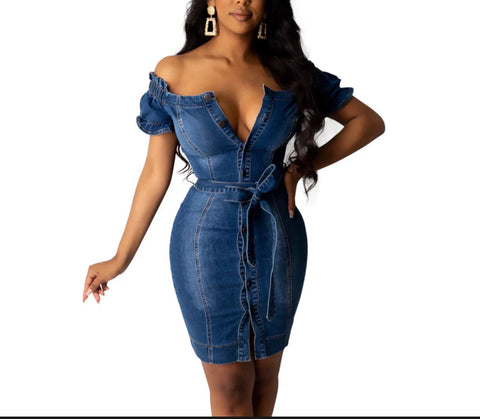 Denim V-Neck Dress