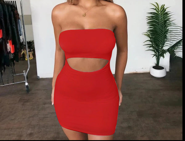 Sleeveless Bodycon Dress