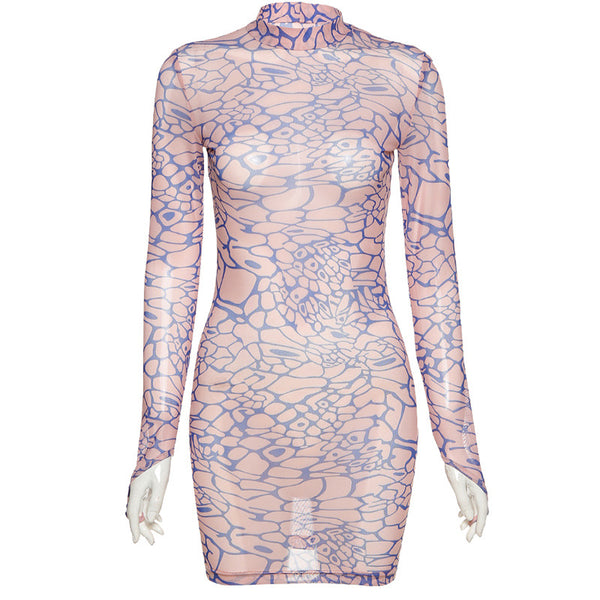 Printed Mesh Dress